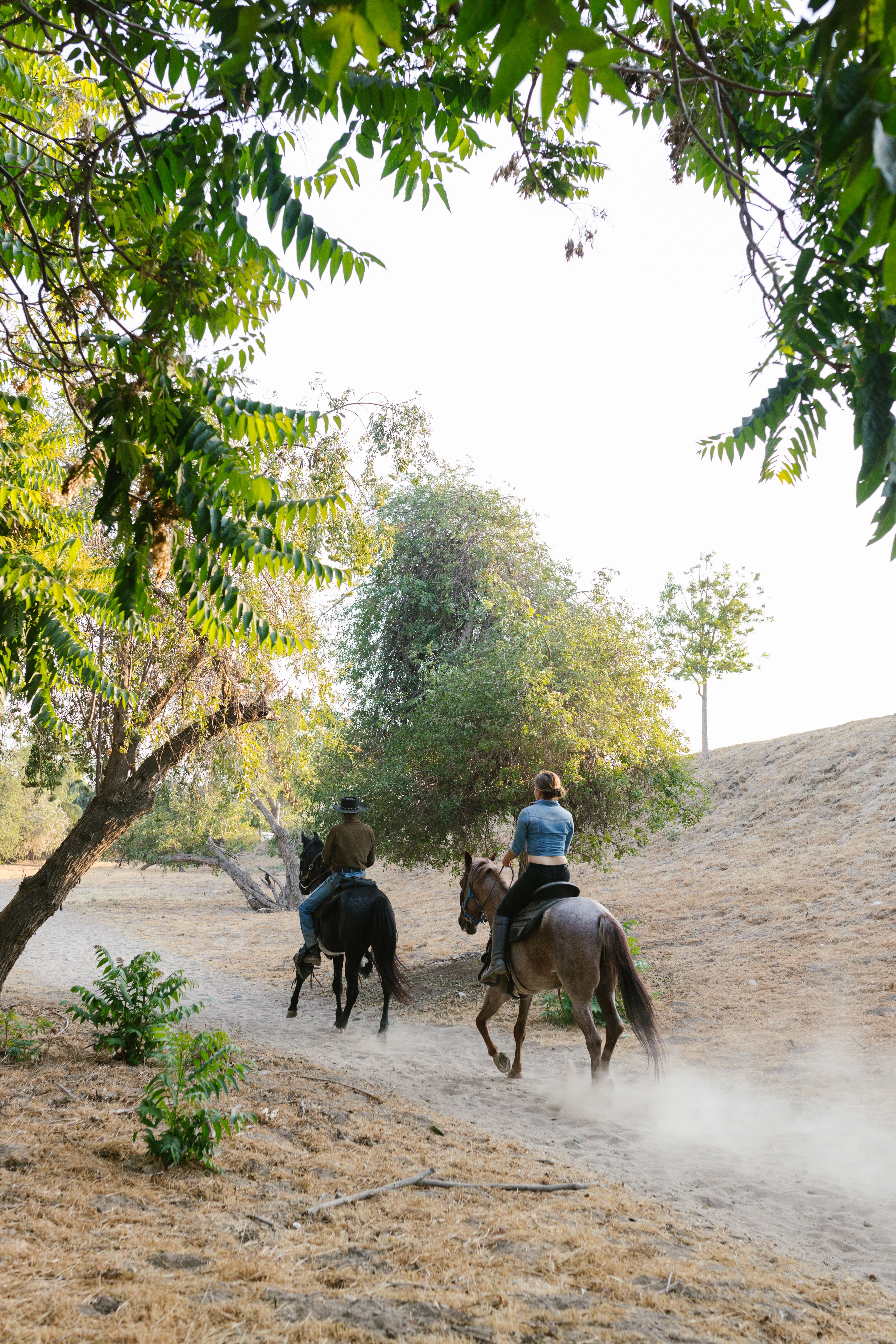 Mount Vesuvius horseback riding adventure