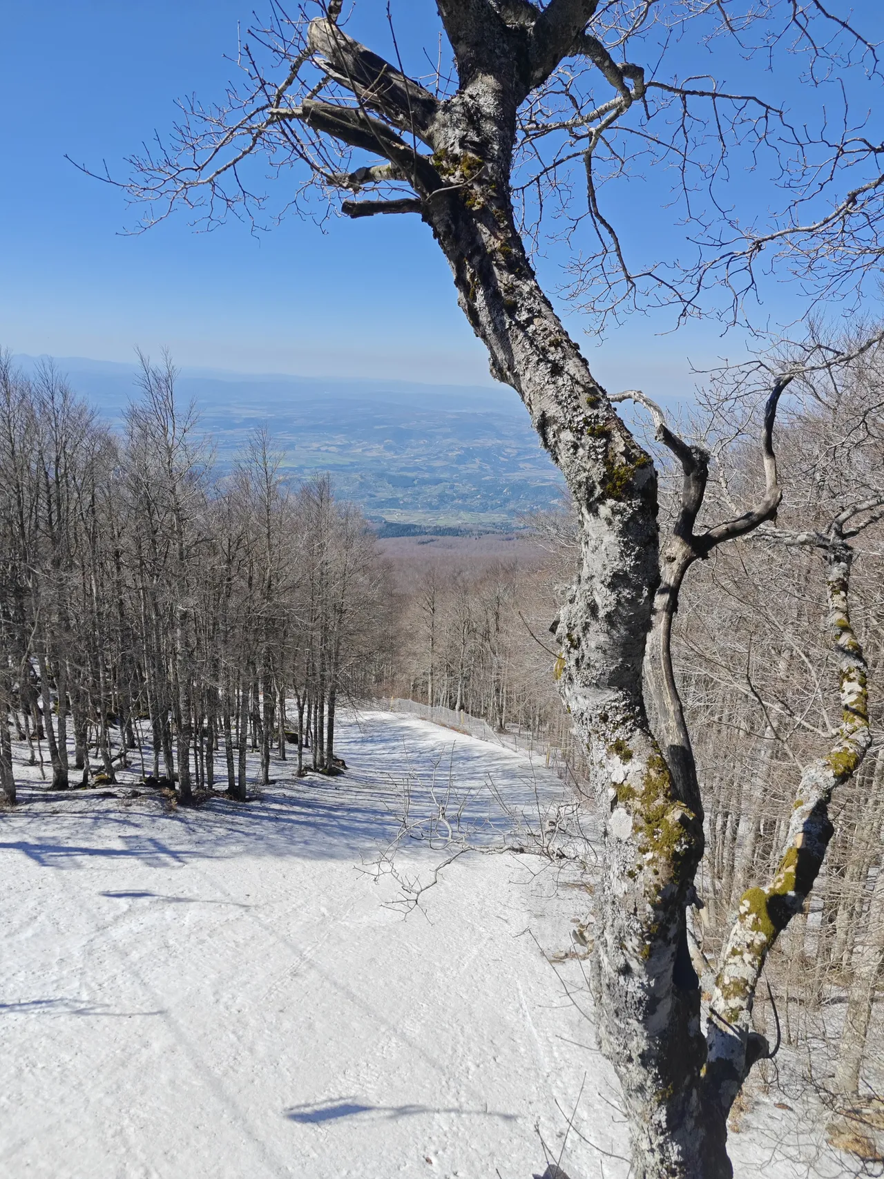 Monte Amiata – Antico vulcano e boschi