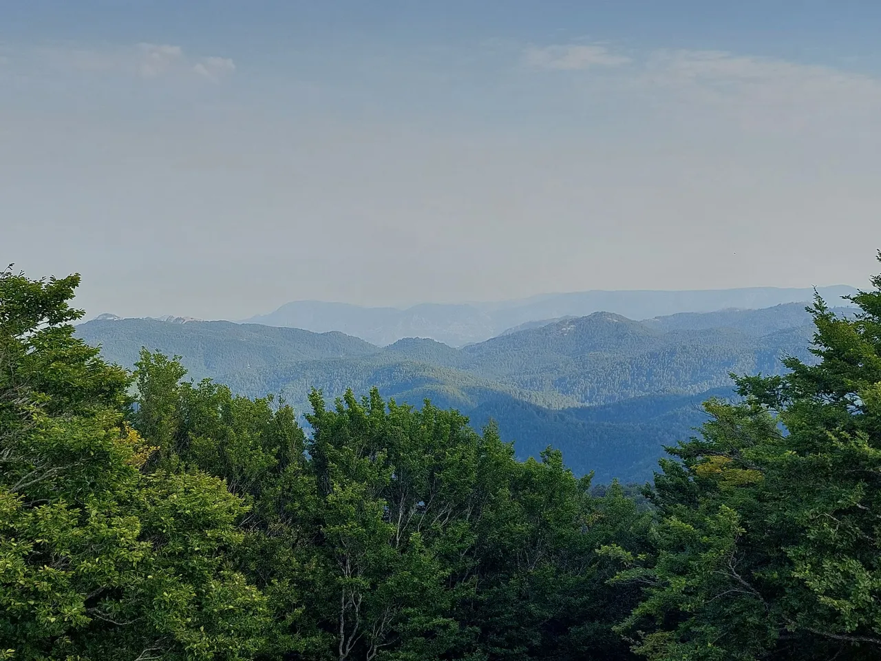 Montalto nel Parco Nazionale dell'Aspromonte