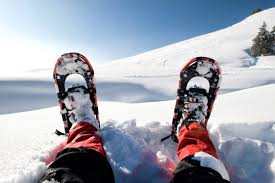 Escursione con le ciaspole sulla neve fresca
