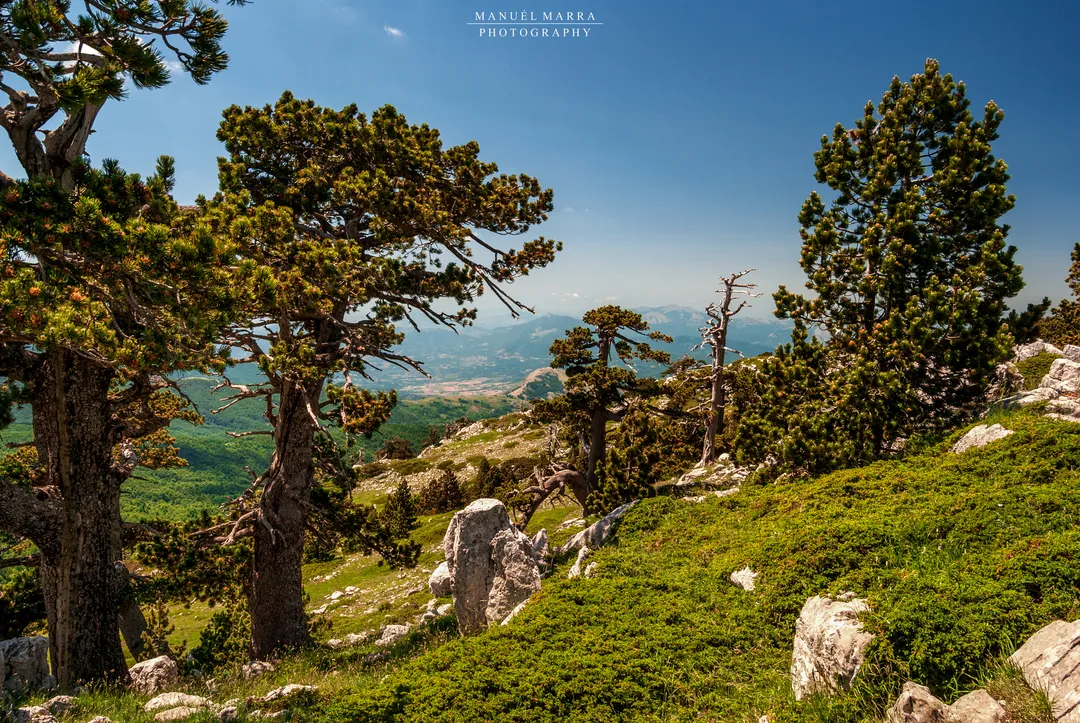Serra di Crispo nel Parco del Pollino