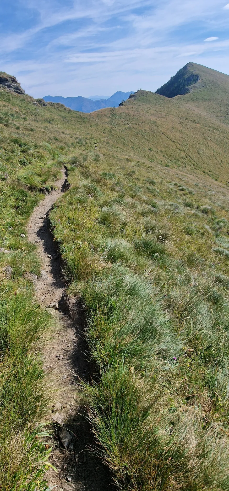 Colle dell'Orso – Trekking panoramico