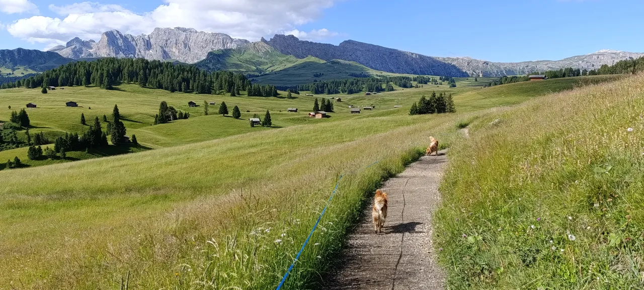Alpe di Siusi – Panorama sulle Dolomiti